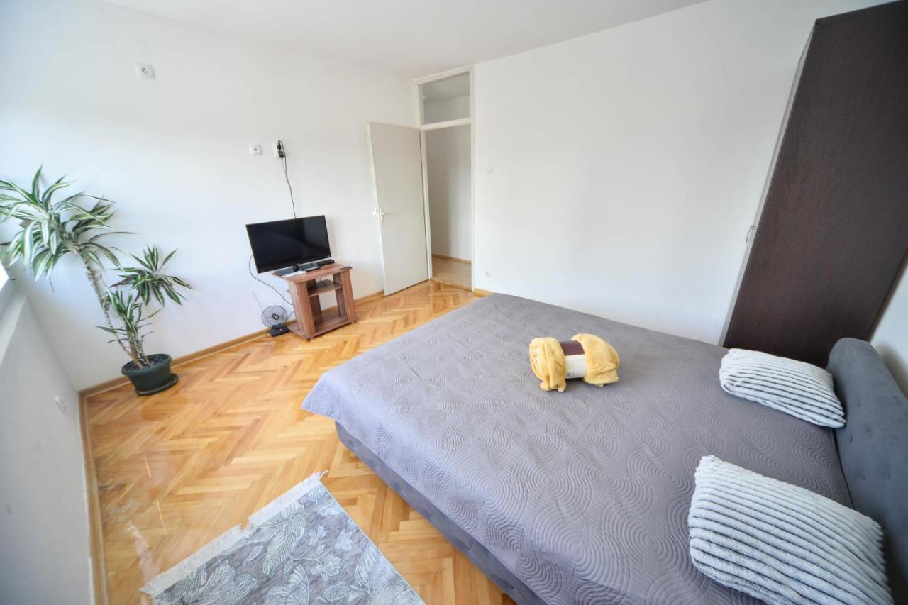 Apartman Centar Lux Pirot Zewnętrze zdjęcie